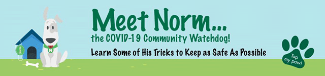 Meet Norm
