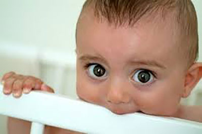 Lead Poisoning Prevention Lead Poisoning Prevention`